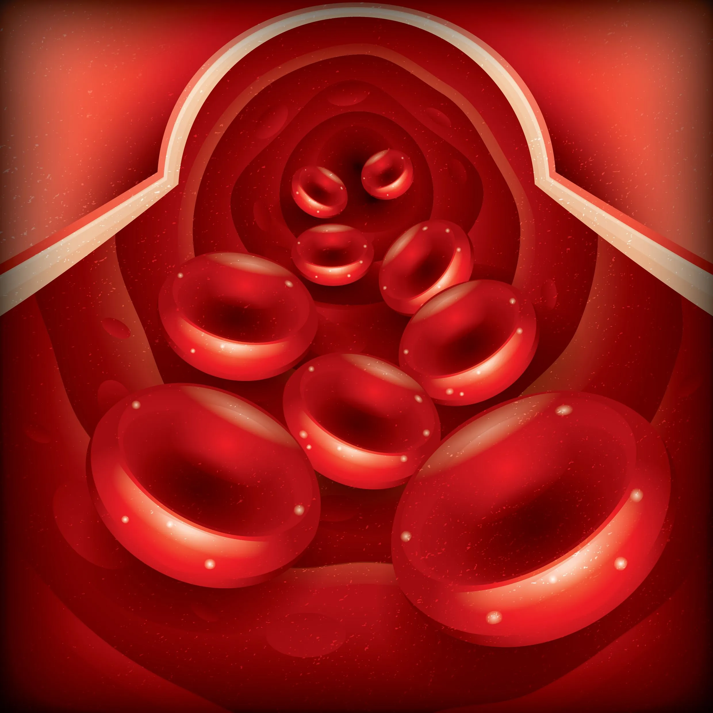 Illustration of blood